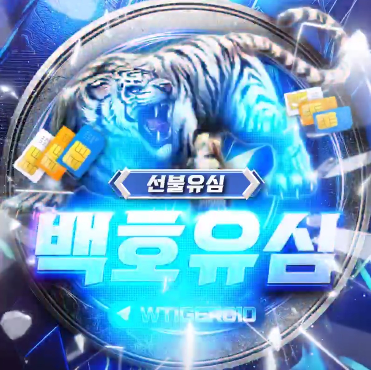 백호유심